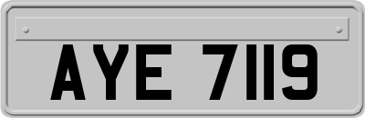 AYE7119
