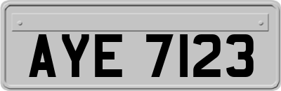 AYE7123