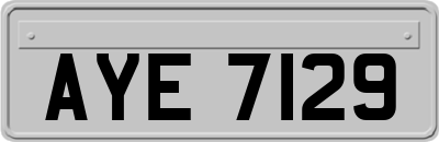 AYE7129