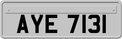 AYE7131