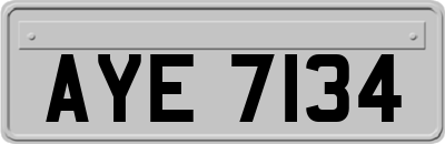 AYE7134