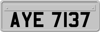 AYE7137