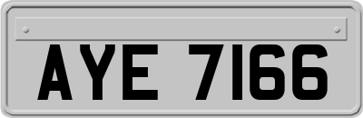 AYE7166