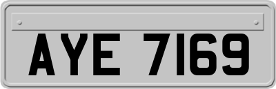 AYE7169