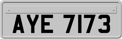 AYE7173