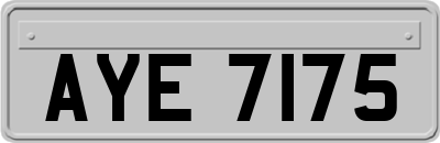 AYE7175