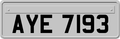 AYE7193