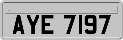 AYE7197