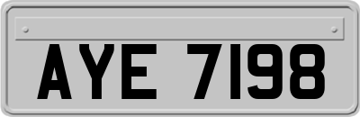 AYE7198