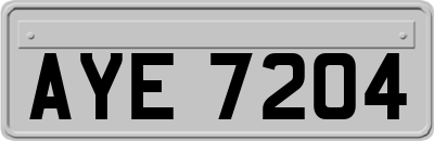 AYE7204