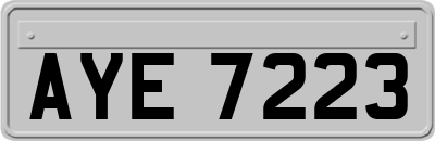 AYE7223