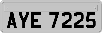 AYE7225