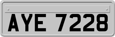 AYE7228
