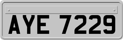 AYE7229
