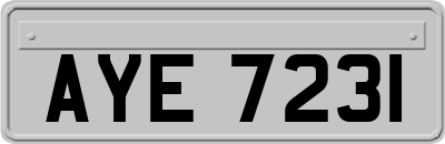 AYE7231