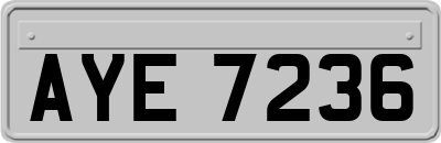 AYE7236