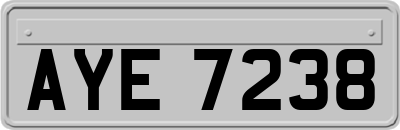 AYE7238