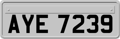 AYE7239
