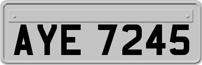 AYE7245