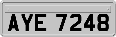 AYE7248