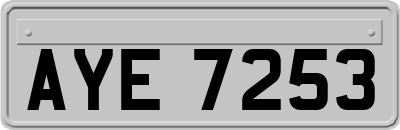 AYE7253