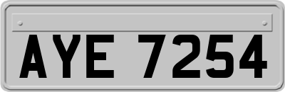 AYE7254