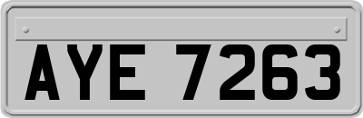 AYE7263