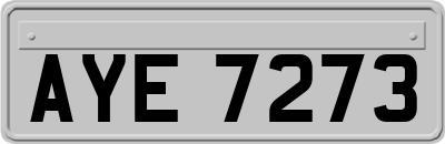 AYE7273