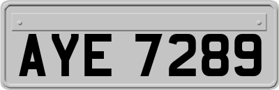 AYE7289