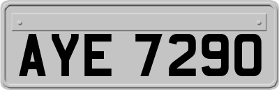 AYE7290