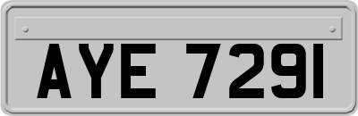AYE7291