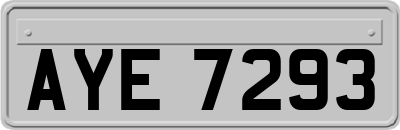 AYE7293