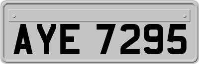 AYE7295