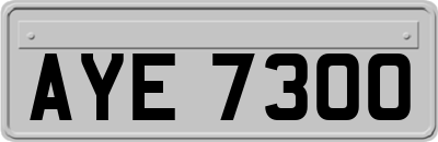 AYE7300