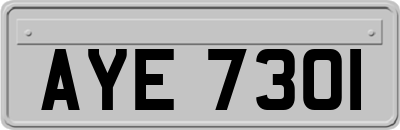 AYE7301
