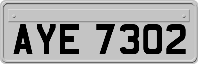 AYE7302