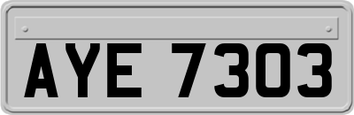 AYE7303