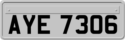 AYE7306