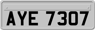 AYE7307