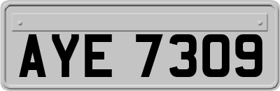 AYE7309