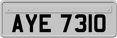 AYE7310