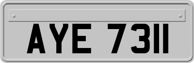 AYE7311
