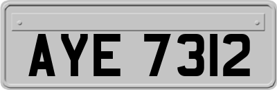 AYE7312