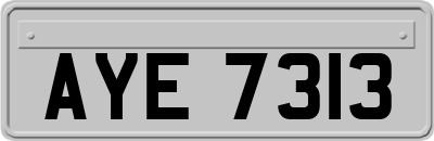 AYE7313