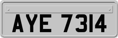 AYE7314