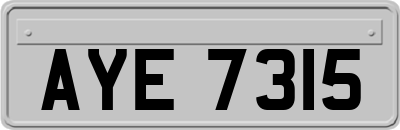 AYE7315