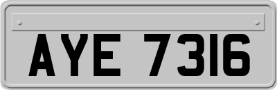 AYE7316