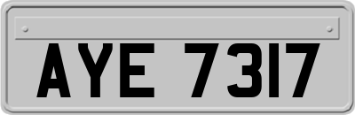 AYE7317