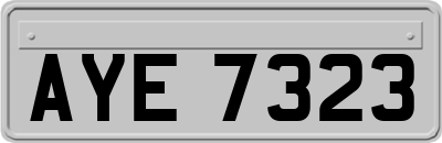 AYE7323