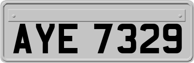 AYE7329